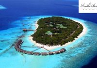 Reethi Beach Resort Maldives Jobs | Reethi Beach Resort Maldives Vacancies | Job Openings at Reethi Beach Resort Maldives | Dubai Vacancy