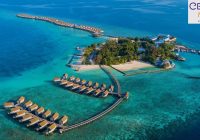 Centara Mirage Lagoon Maldives Jobs | Centara Mirage Lagoon Maldives Vacancies | Job Openings at Centara Mirage Lagoon Maldives | Dubai Vacancy