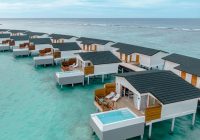 Joy Island Maldives by The Cocoon Collection Jobs | Joy Island Maldives by The Cocoon Collection Vacancies | Job Openings at Joy Island Maldives by The Cocoon Collection | Dubai Vacancy