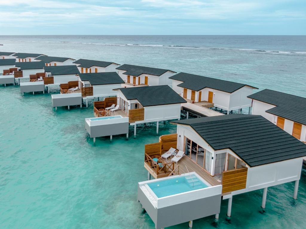 Joy Island Maldives by The Cocoon Collection Jobs | Joy Island Maldives by The Cocoon Collection Vacancies | Job Openings at Joy Island Maldives by The Cocoon Collection | Dubai Vacancy